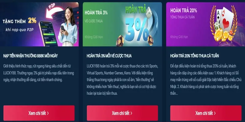 Đội ngũ hỗ trợ khách hàng chuyên nghiệp của Vibet